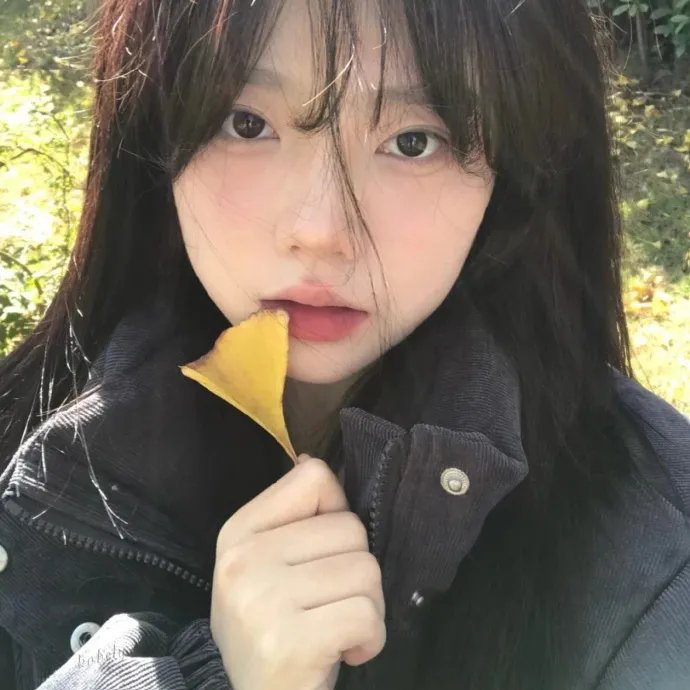 群莺乱飞